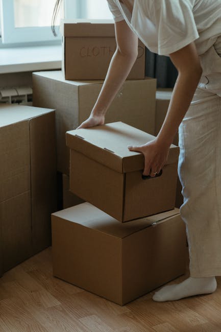 A smiling man with a natural Afro hairstyle and a full beard stands inside a bright, minimally furnished room with large arched windows, holding a cardboard box in his left hand. He is wearing a teal t-shirt and casual jeans, and appears to be part of a house removal or furniture transport process. To his right, a green plant adds a touch of decor, while in the background, sunlight streams through the windows, illuminating the space. The man is making an OK gesture with his right hand, indicating a positive or successful move. The scene reflects a professional home relocation or packing and moving service environment, with natural lighting highlighting the interior surroundings and the movement process involved in loading or unpacking appliances and boxes as part of a typical property transfer handled by Man With a Van Shacklewell.